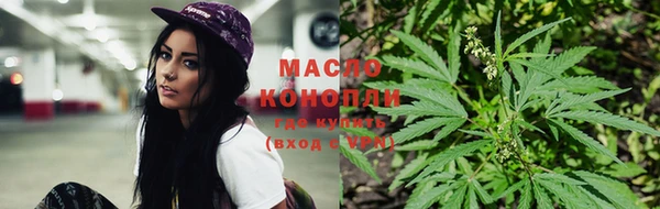 шишки Бородино