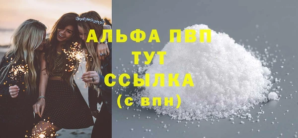 шишки Бородино