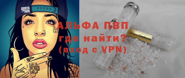 шишки Бородино