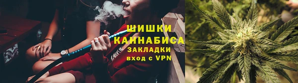 шишки Бородино