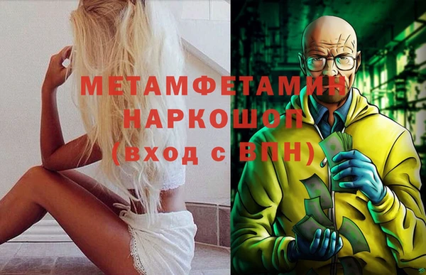 шишки Бородино