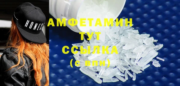 шишки Бородино