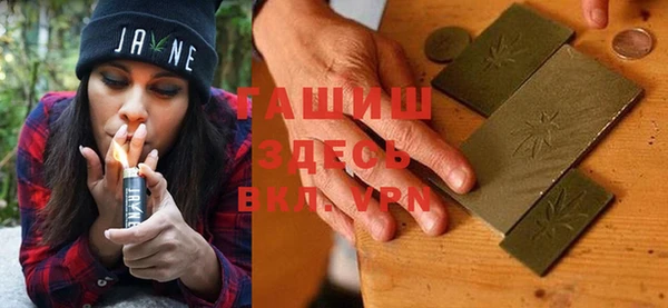 шишки Бородино